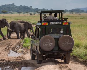 Picture of Chat With Our Expert