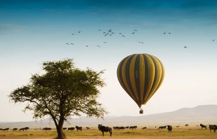 Balloon Safari in the Serengeti 1