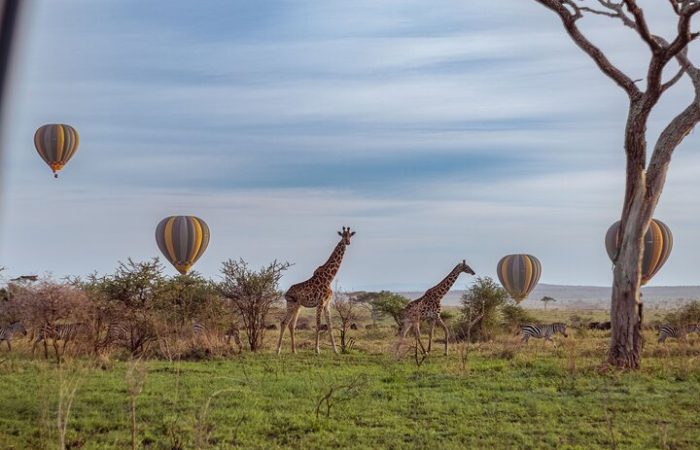 Balloon Safari in the Serengeti 4