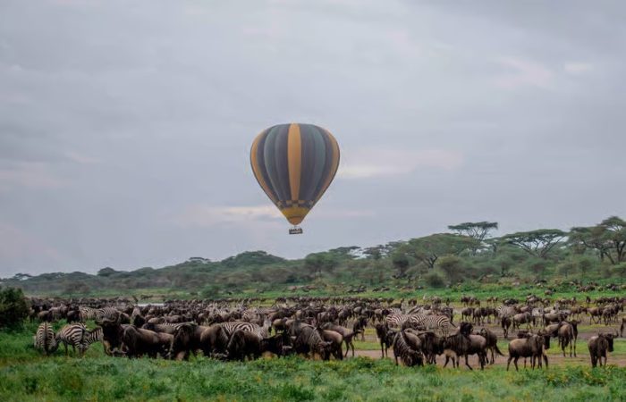 Balloon Safari in the Serengeti 5