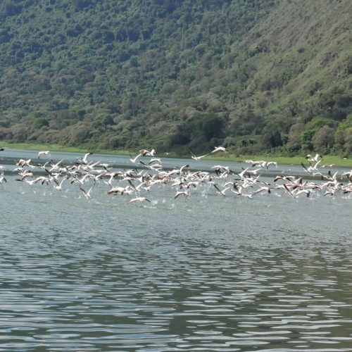 Empakai-crater-flaming