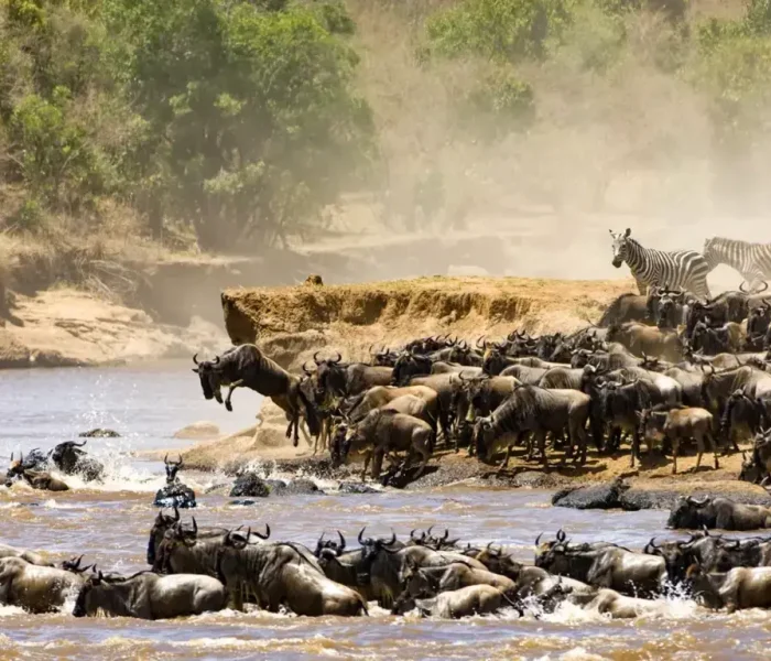 Great-Migration-Crossing-River-