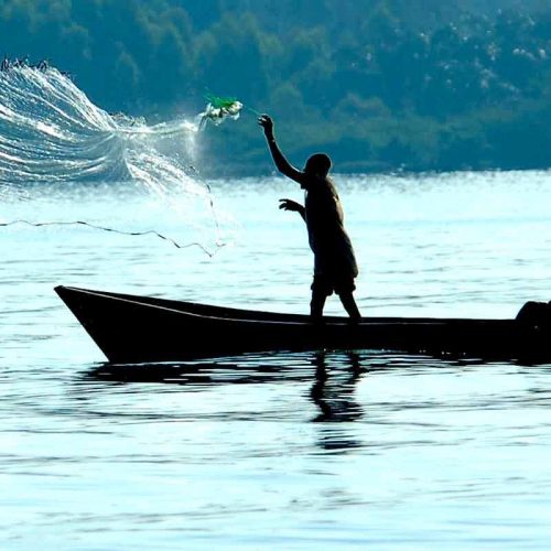 Lake Victoria 2 replace