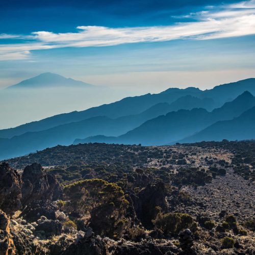 Mt. kilimanjaro np 5