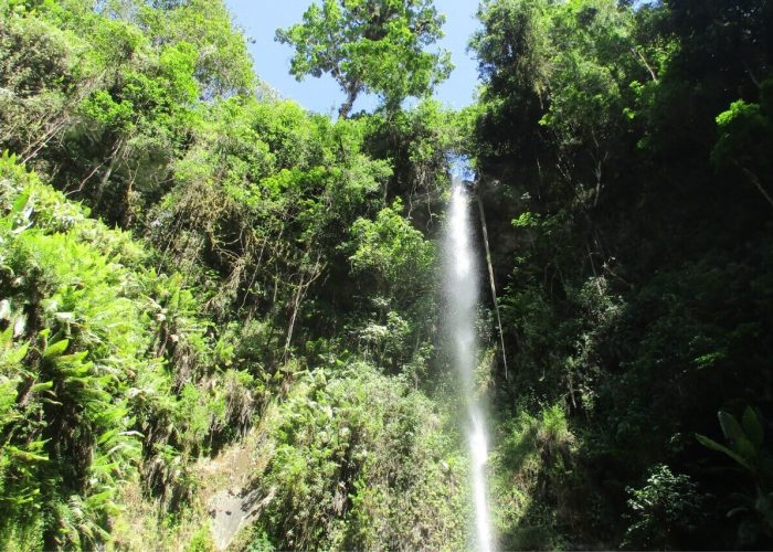 Napuru waterfall 4