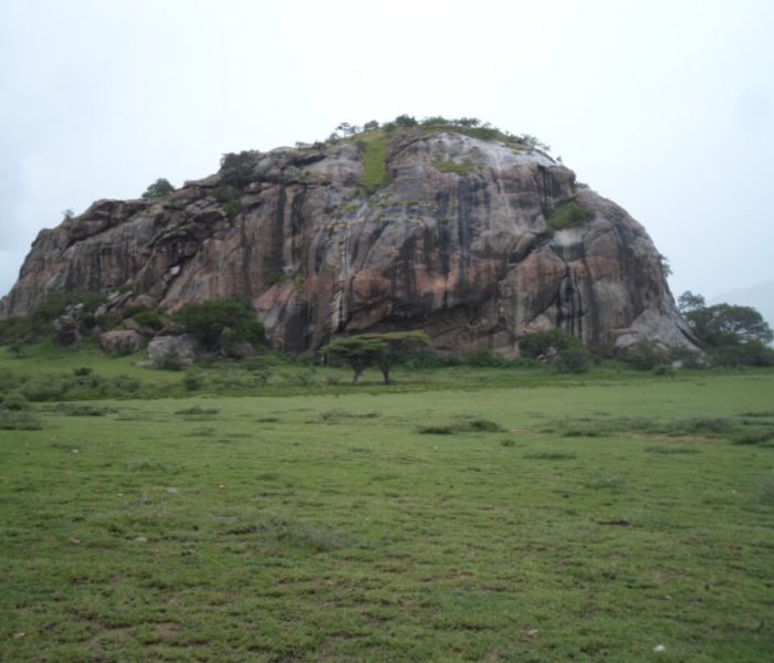 Nasera Rock & the Wildebeest Migration (1)