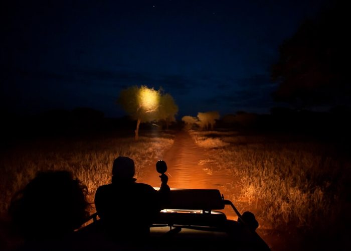 Night-Game-Drives1