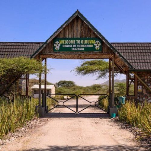 Olduvai-museum1