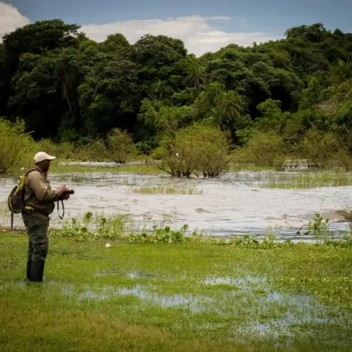 Rubondo_Island_National_Park_walking safari