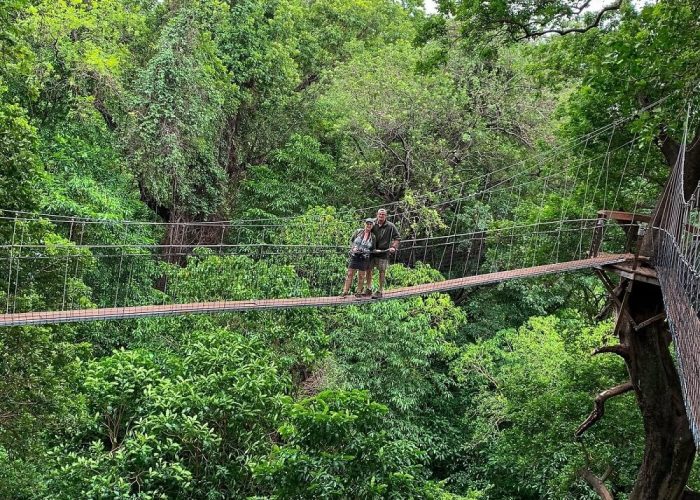 Treeetop in manyara 4 (1)