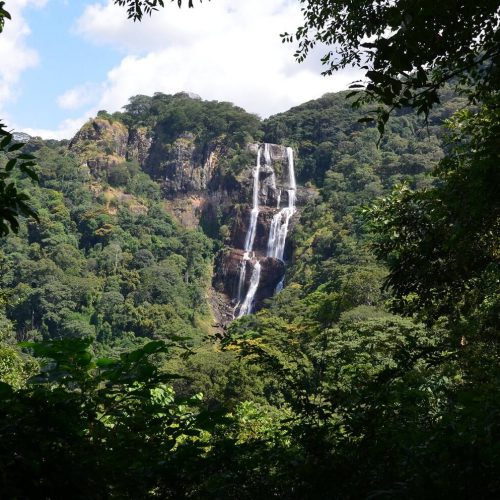 Udzungwa_National_Park_