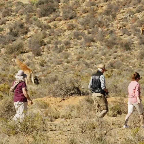 WALKING SAFARI AT MKOMAI NP