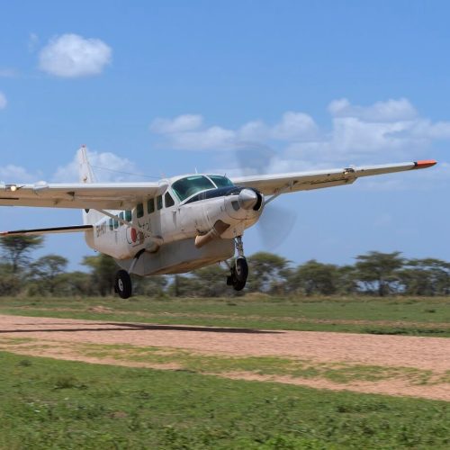 aistrip in serengeti