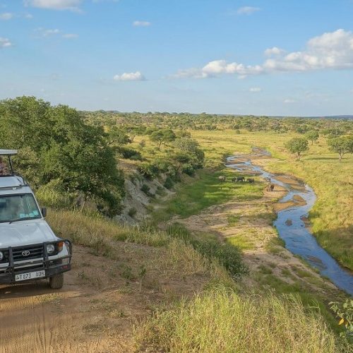 game drive in ngorongro