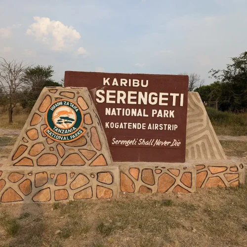 kogatende airstrip (1)