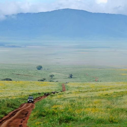 ngorongro crater
