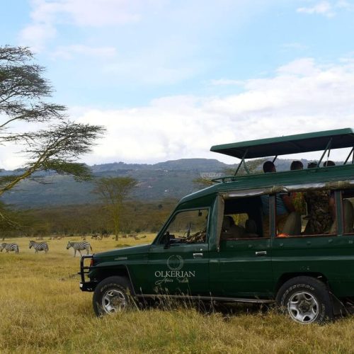 safari vehicle4