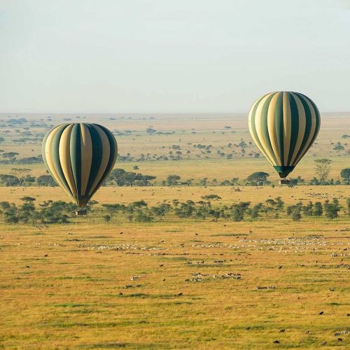 seerengeti baloon safari (1)