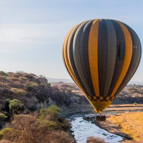 serengeti baloon