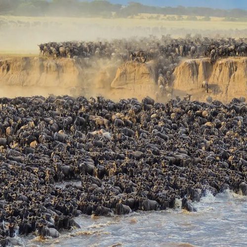 tanzania-safaris-to-the-serengeti-wildlife-holidays