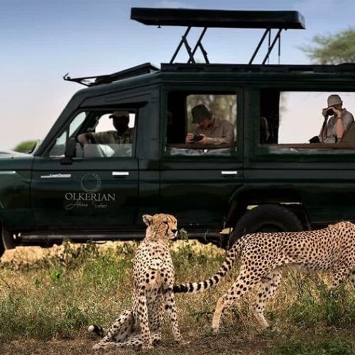 tarangire game drive