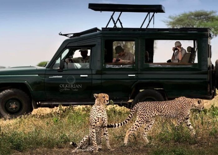 tarangire game drive