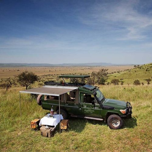 trip in serengeti