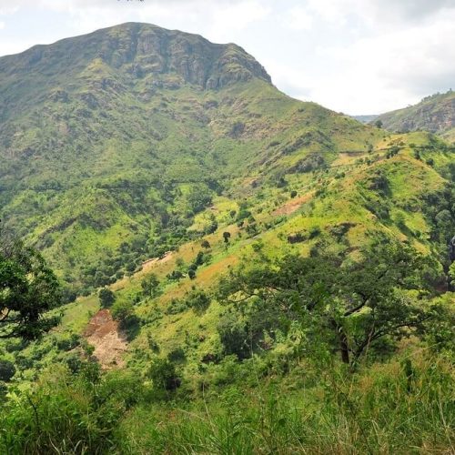 usambara mount