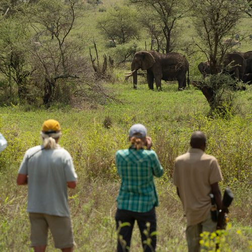 walking safari in arusha