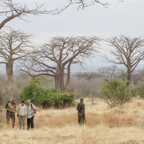 walking safari in ruaha