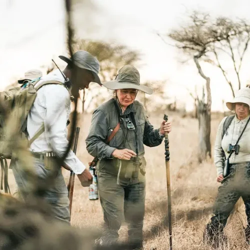 walking safari