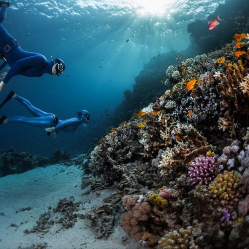 zanzibar Sea-Diving (1)